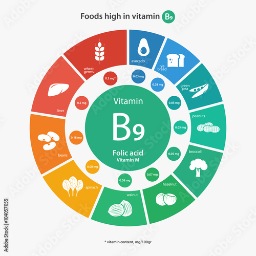 Foods high in vitamin B9. Vitamin content of foods. Healthy lifestyle and diet vector illustration infographics with food icons.