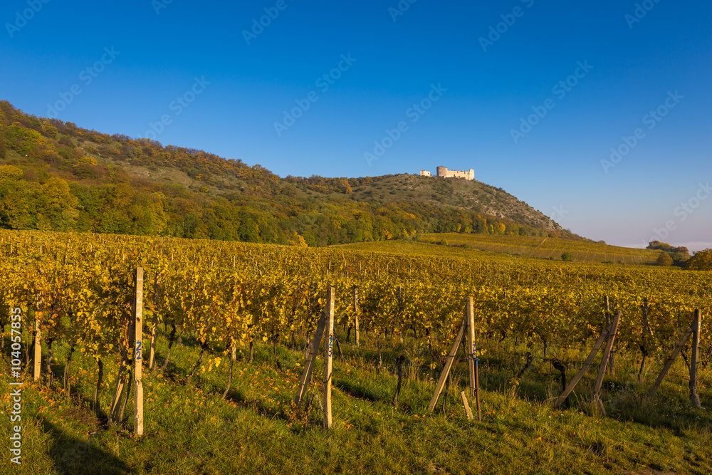 Fototapeta premium Moravian Land