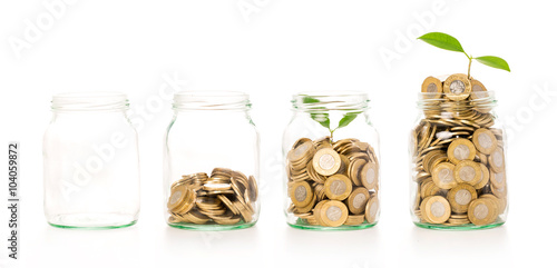 Money growing plant step with deposit coin in bank concept.