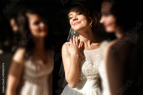  happy stylish gorgeous blonde bride with bridesmaids on the bac photo