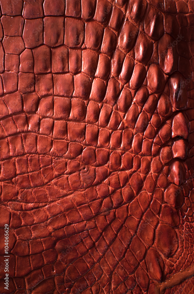 Alligator patterned background Alligator patterned background