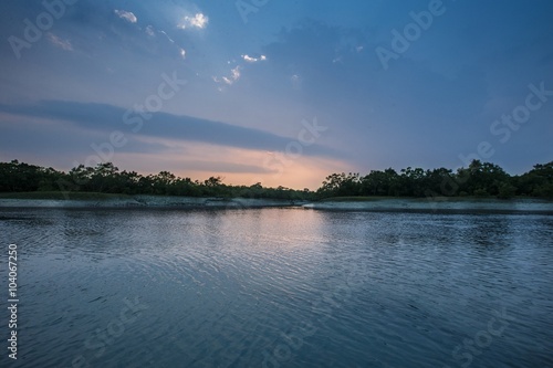 Beauty of Sundarbans mangroves and tiger reserve / Beauty of Sundarbans mangroves and tiger reserve