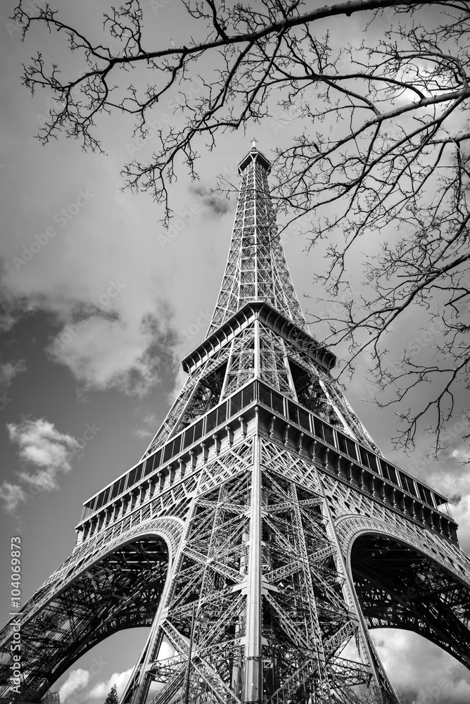 Obraz premium The Eiffel tower, Paris France