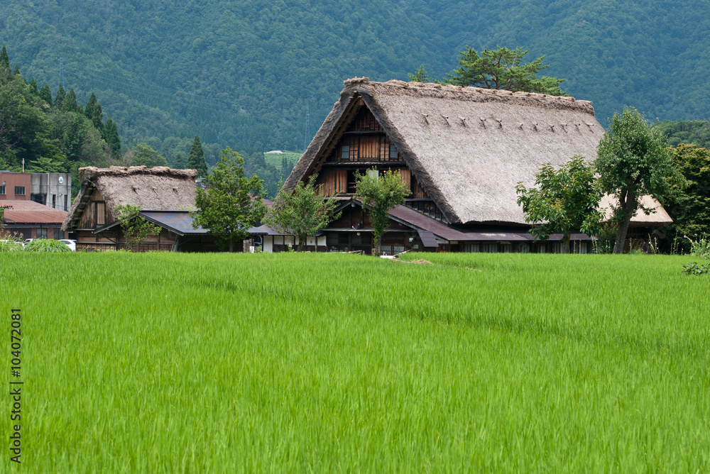gassho-zukuri Japanese house, Shirakawa-go, Japan
