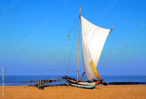 sailboat on the sea coast, Sri Lanka