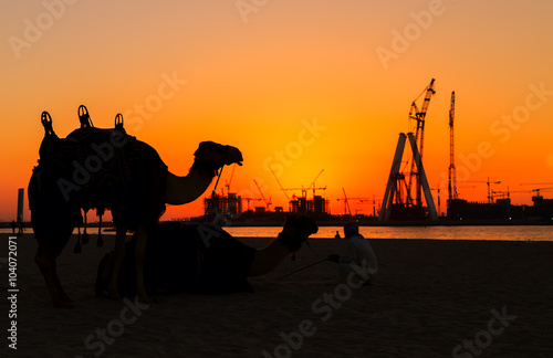 Dubai silhouette at the sea sunset