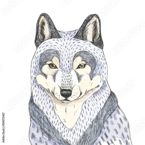 Obraz na płótnie Szkic wilka Akwarela ilustracja