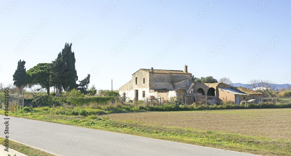 Campos y camino en el Delta del Llobregat, Barcelona