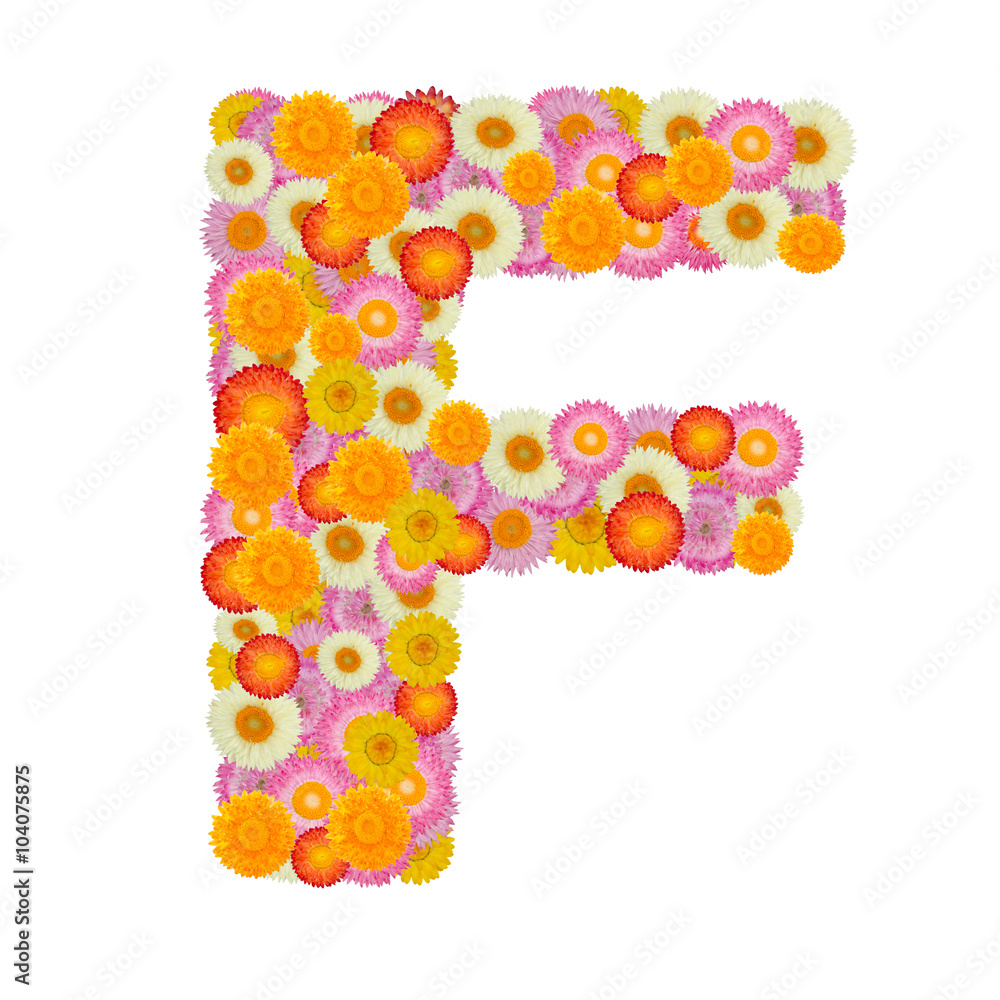 Letter F alphabet with straw flower isolated on white background