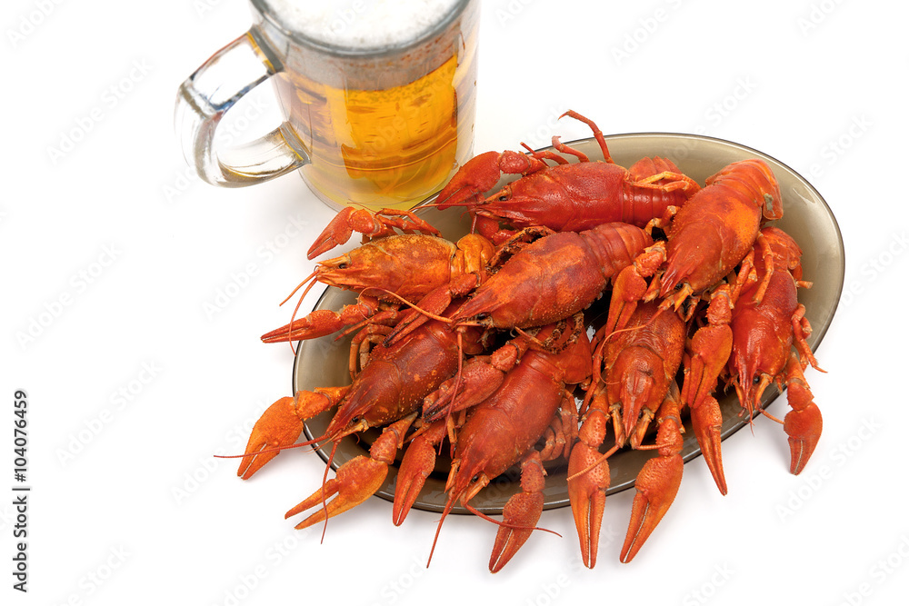 crayfish and beer closeup on a white background crayfish and beer closeup on a white background