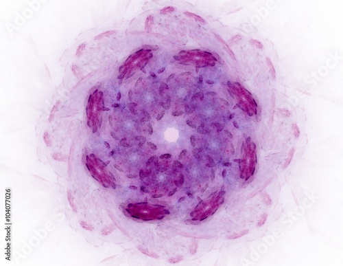 Photos Elementary Particles series