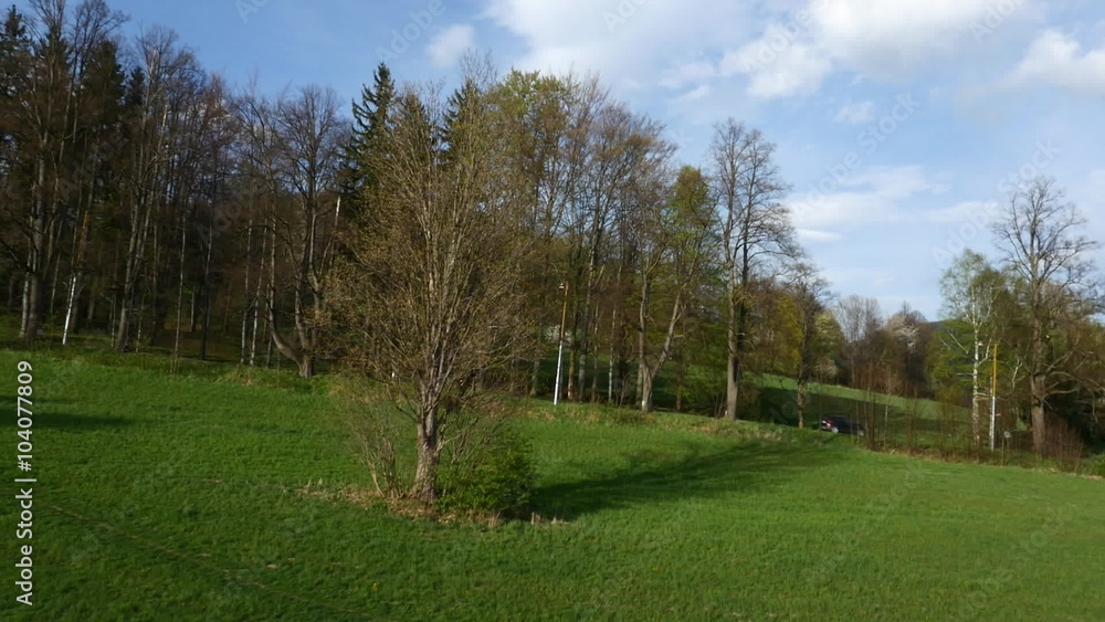 Aerial View. Flight over a green grassy around the tree Aerial View. Flight over a green grassy around the tree