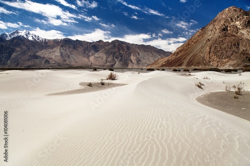 Dunes in Nubra Valley - Ladakh - Jammu and Kashmir photo