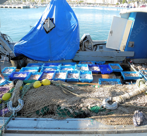 frischer Fischfang direkt im Hafen photo