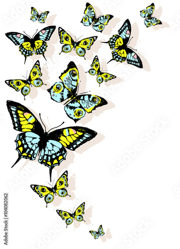 butterflies design