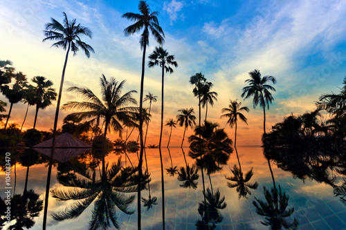 Tall coconut palm trees at twilight sky reflected in water