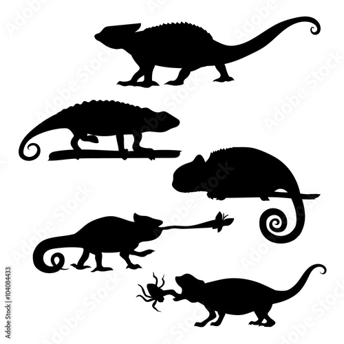 Chameleon set vector