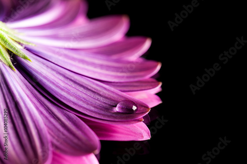 Fototapeta Naklejka Na Ścianę i Meble -  retro