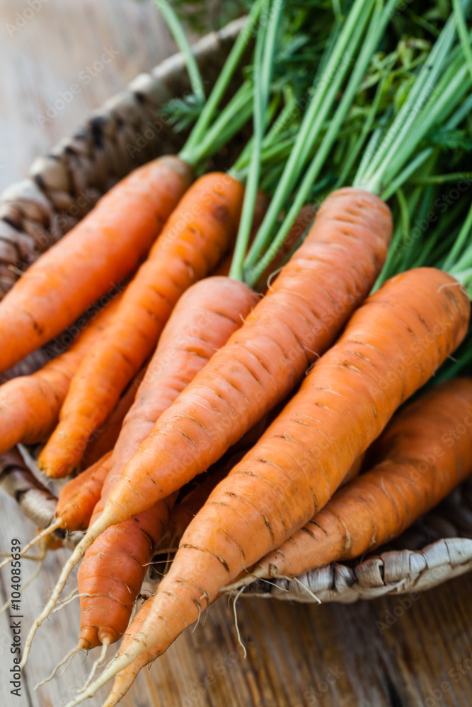 fresh carrots bunch fresh carrots bunch