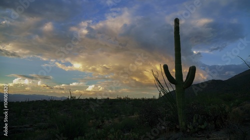 Western Sunset Glow (4K) - A motion control sunset time lapse in Saguaro National Park.