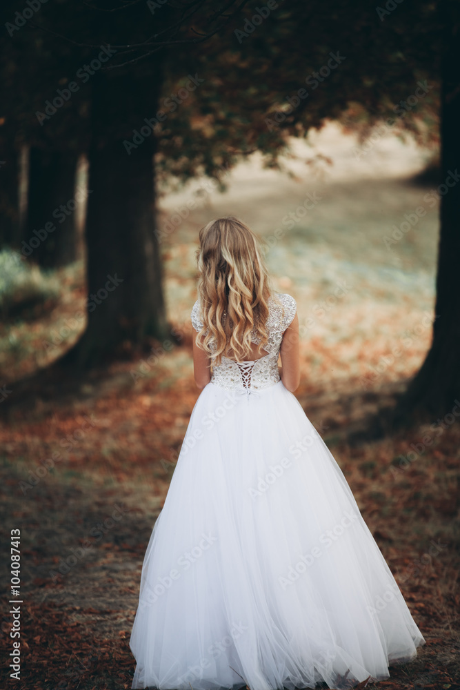 Luxuty portrait of blonde bride with bridal bouquet in autumn Luxuty portrait of blonde bride with bridal bouquet in autumn