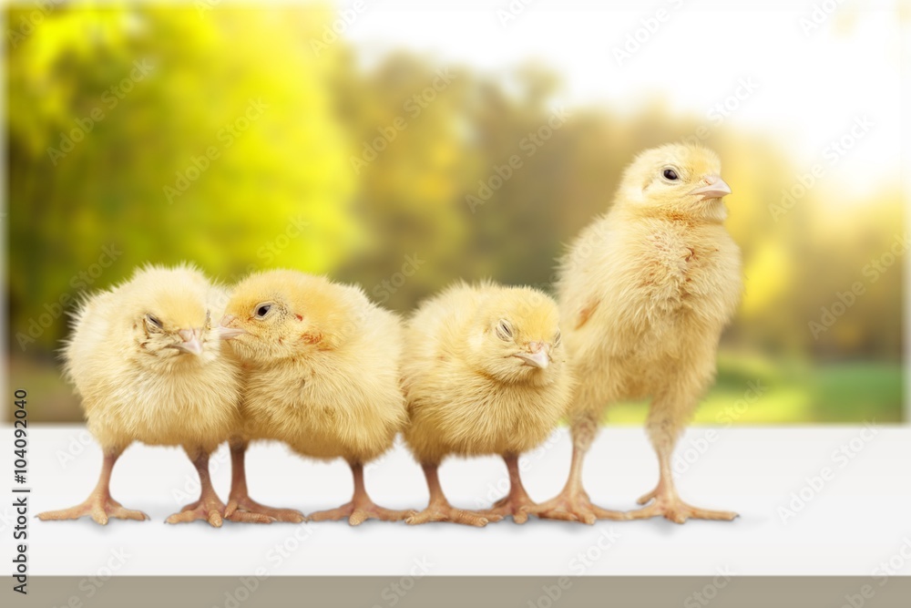 Easter. Easter.