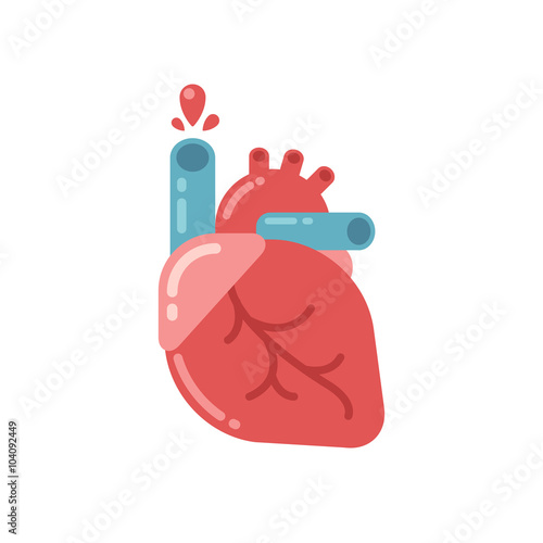 Human heart flat icon