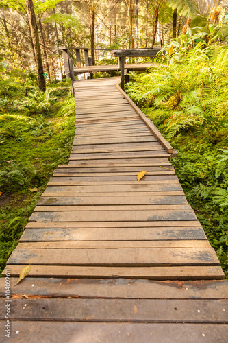 A wooden walkway © preechafakmee