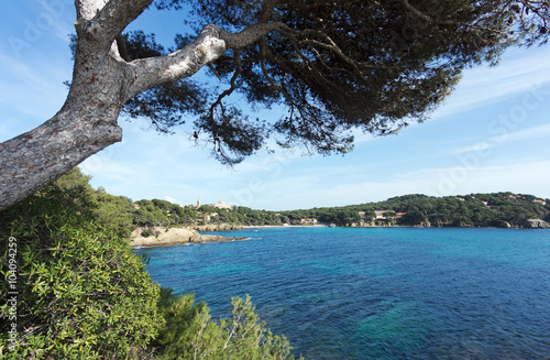 côte du Lavandou