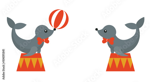 circus seal animal set