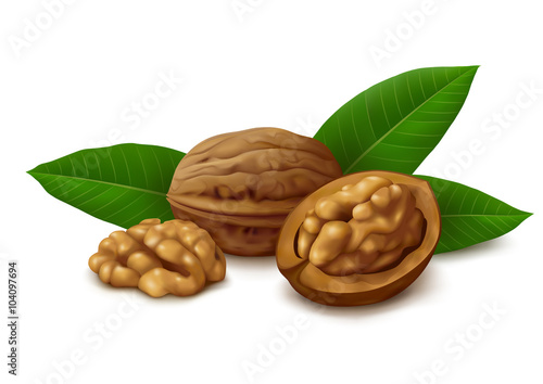 Dried walnuts with leaves on white background