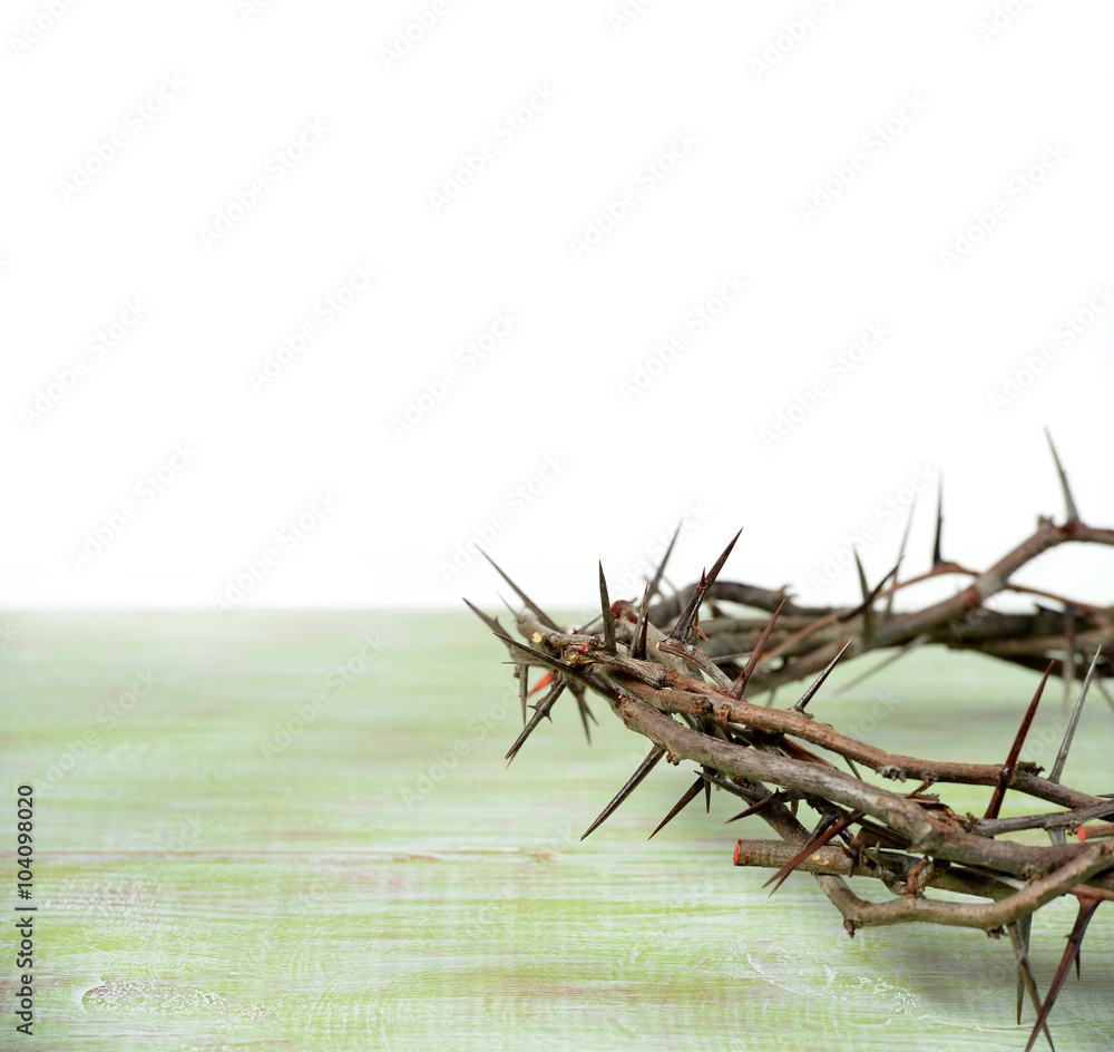 Obraz premium Crown of Thorns