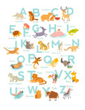 Cute vector zoo alphabet. Funny cartoon animals. Vector Illustration EPS10 isolated on white background. Letters. Learn to read