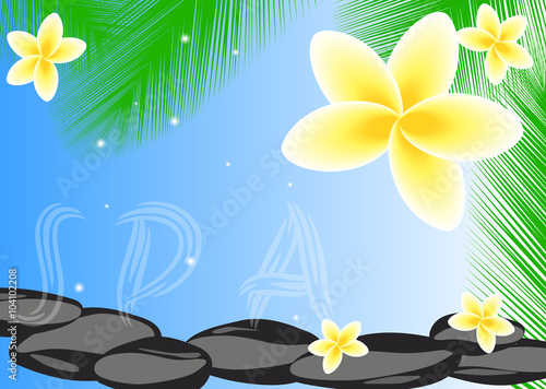 Beautiful spa vector concept with stones and frangipani flowers