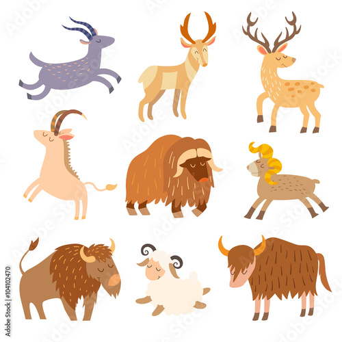 Cattle wild set. Cartoon flat animals. Vector illustration, isolate on white background