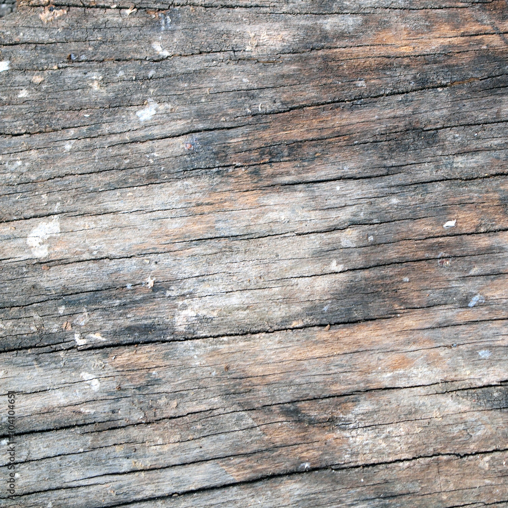 texture wood texture wood