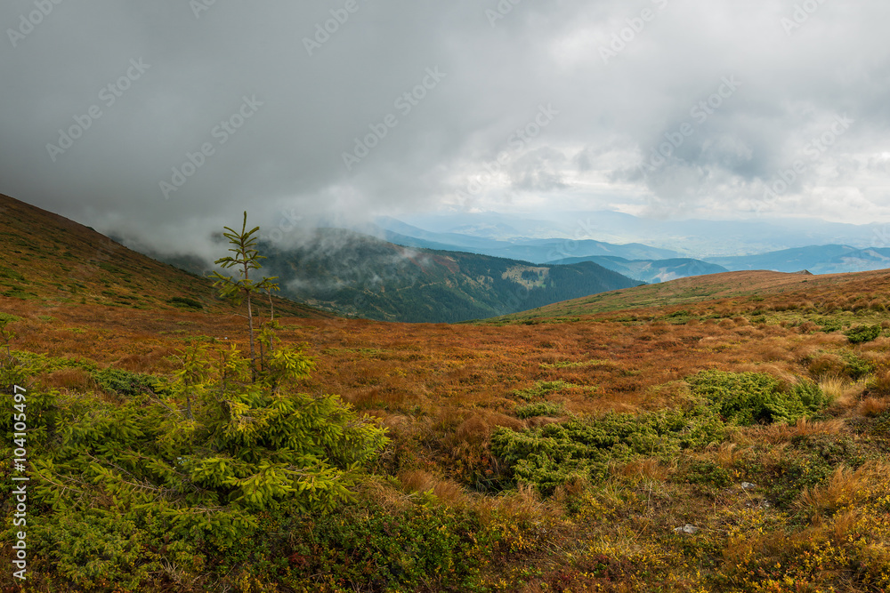 Landscape of the beautiful mountains, Carpathians Landscape of the beautiful mountains, Carpathians