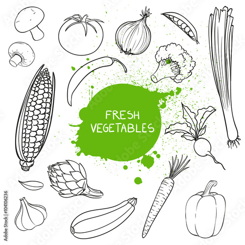 Vector Illustration of Hand Drawn Vegetables