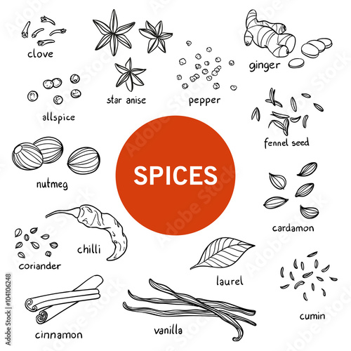 Vector Illustration of Hand Drawn Spices