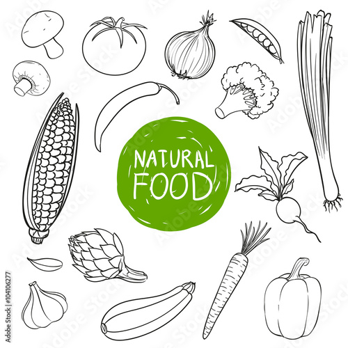 Vector Illustration of Hand Drawn Vegetables