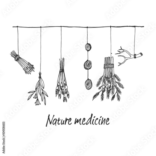 Hand drawn dry herb and plants garland illustration in vector.