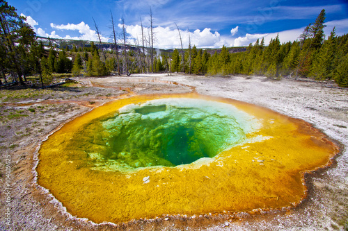 colourful morning glory hot spring pool in yellowstone