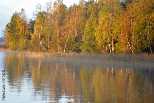 Autumn forest on the lake at sunrise.