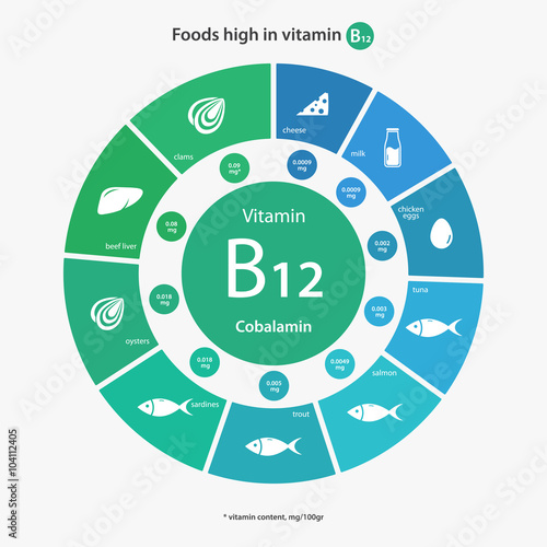 Foods high in vitamin B12. Vitamin content of foods. Healthy lifestyle and diet vector illustration infographics with food icons.