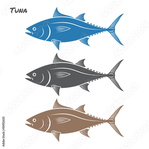 Tuna fish vector illustration on white background