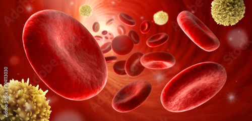 Rote und weiße Blutkörperchen in Arterie photo