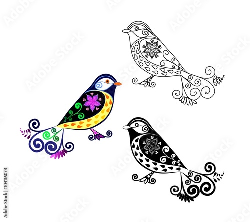 Titmouse bird. Cartoon image. Black and white and color variation. Possibility to paint the according to your idea. Elaborate drawing.