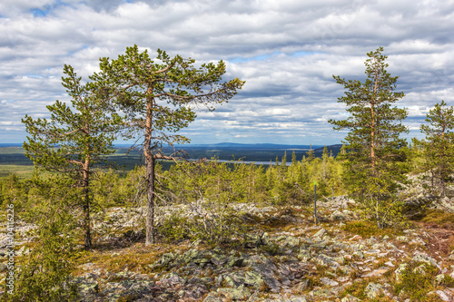 Landschaft im Pyhä-Luosto National Park - Finnland 4