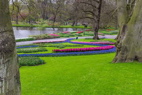 Photography Multicolor flowerbed and flower stripes near water at garden in Keukehnof park