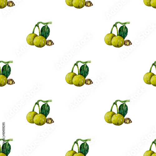 Seamless pattern of tamanu nut in watercolor photo
